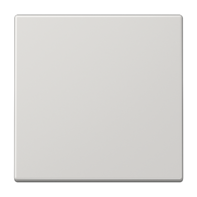 TECLA PARA INTERRUPTOR CONMUTADOR GRIS CLARO JUNG ref: LS990LG
