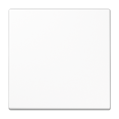 BASE ENCHUFE TAPA LS990  BLANCO ALPINO JUNG ref: LS990SWWPL