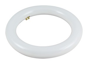 Tubo LED circular T9. 15W. DIA 6500K