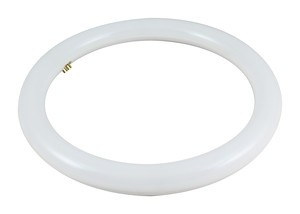 Tubo LED circular T9. 20W. DIA 6500K