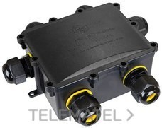 CAJA CX.LUM.6 PTOPAS.IP68 4A 450V AC TERM.3P SECCIÓN 6mm²