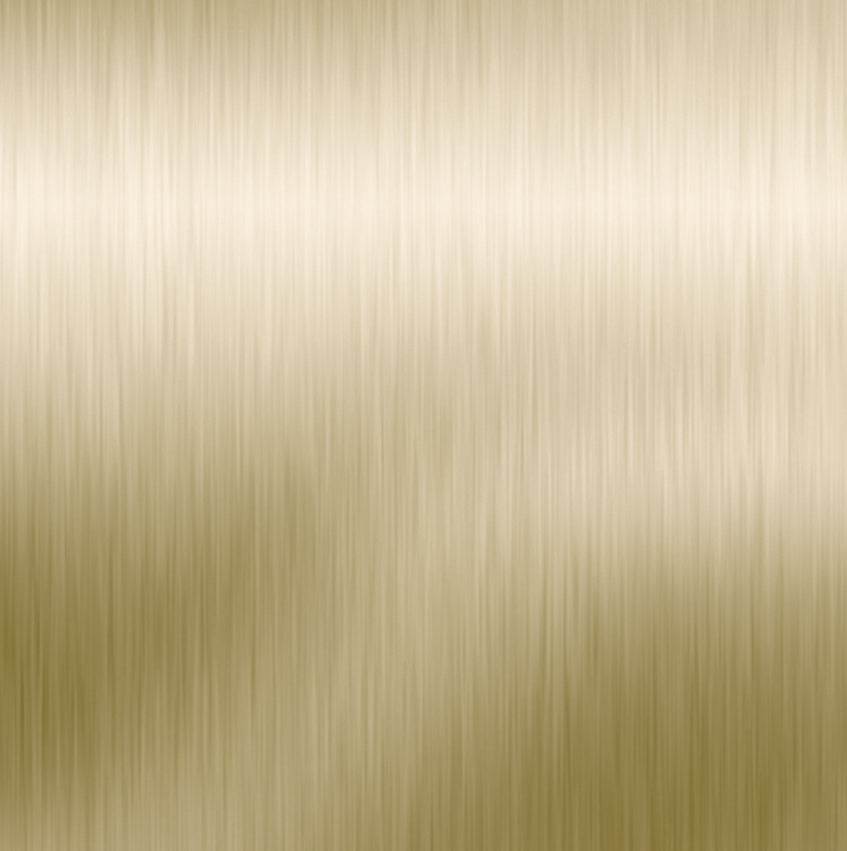 MODULO CIEGO NX3000 GOLD